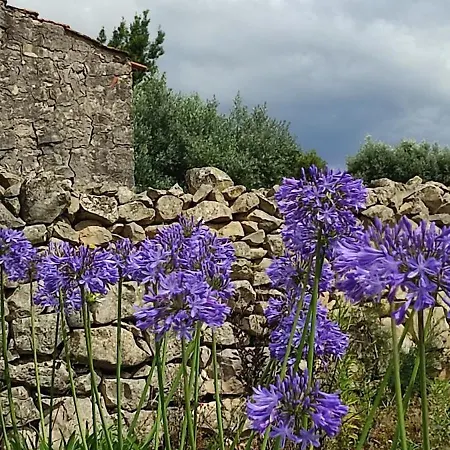 Tatil Evi Family 7p 2025 *