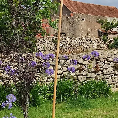 Tatil Evi Family 7p 2025 Alcobaça