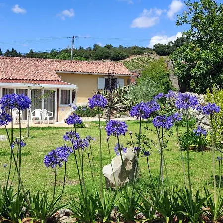 Family 7p 2025 * Alcobaça
