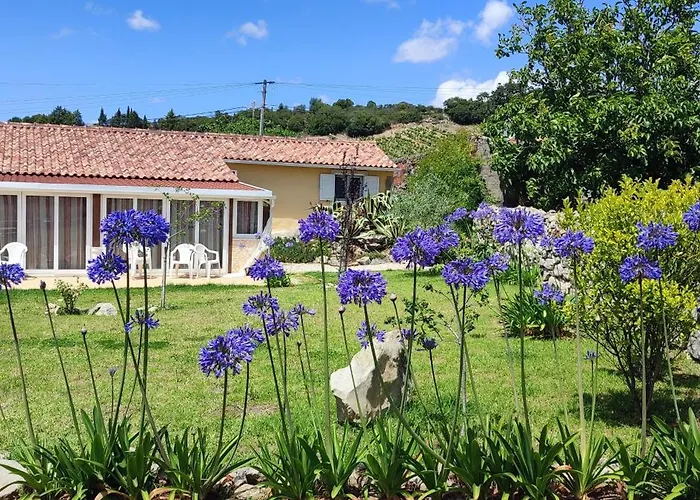 Family 7p 2025 * Alcobaça